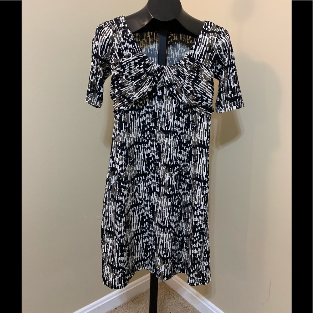 Ann Taylor Dress